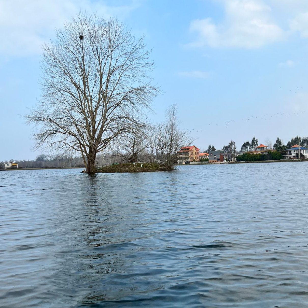 فروش زمین با ویو جنگل